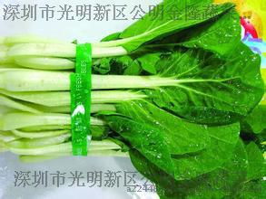 深圳市光明新区公明金隆蔬菜经营部 新鲜蔬菜配送的可靠之选